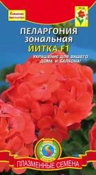 Пеларгония зональная Йитка F1 ПЛ