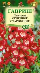 Пенстемон Огненное очарование (Гавриш)