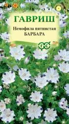 Немофила Барбара (Гавриш)