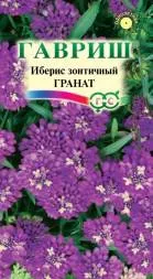 Иберис Гранат (Гавриш)