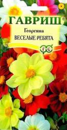 Георгин Веселые ребята 0,3г Гавриш