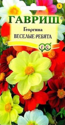 Георгин Веселые ребята 0,3г Гавриш