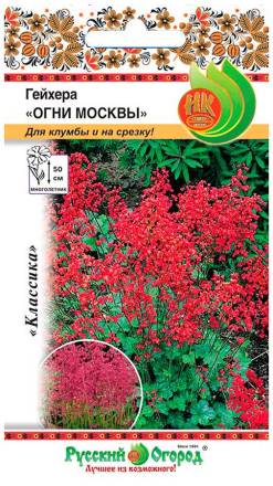 Гейхера Огни Москвы (НК)
