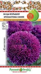 Астра Большая хризантема синяя НК