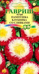 Астра Пампушка Клубника со сливками (Гавриш)