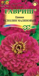 Цинния Исполин малиновый  (Гавриш)