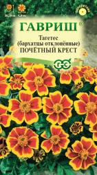 Бархатцы отклоненные Почетный Крест (Гавриш)