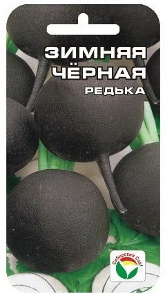 Редька Зимняя черная (Сиб сад) Редька Зимняя черная (Сиб сад)