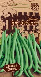 Фасоль Тень на плетень зеленая вьющаяся спаржевая (Гавриш)