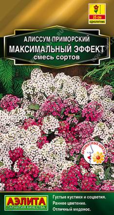 Алиссум Максимальный эффект смесь (Аэлита)