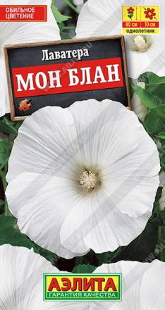 Лаватера Мон Блан (Аэлита)