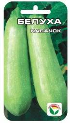 Кабачок Белуха (Сиб сад)