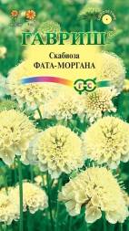 Скабиоза Фата-моргана махровая (Гавриш)