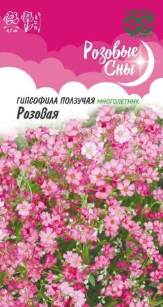 Гипсофила Розовая ползучая (Гавриш)