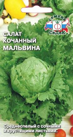 Салат Мальвина (Айсберг) кочанный (СеДеК)