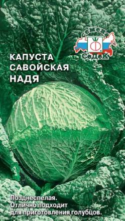 Капуста савойская Надя (СеДеК)