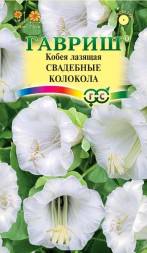 Кобея Свадебные колокола (Гавриш)