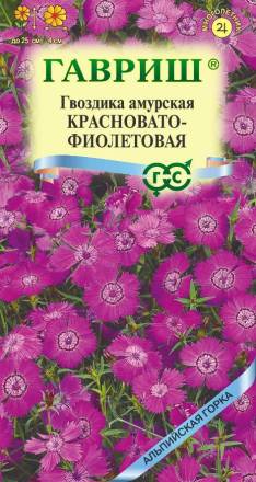 Гвоздика амурская красновато фиолетовая (Гавриш)