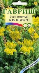 Седум отогнутый &quot;Блу Форест&quot; (Гавриш)