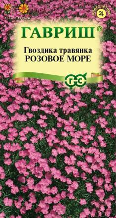 Гвоздика травянка Розовое море (Гавриш)