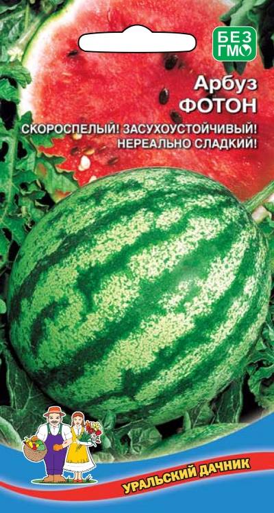 Арбузн Описание