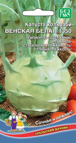 Капуста кольраби Венская Белая 1350 УД Капуста кольраби Венская Белая 1350 УД