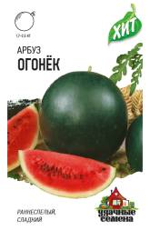 Арбуз Огонек (Гавриш)