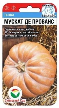 Тыква Мускат де Прованс F1 (Сиб Сад)