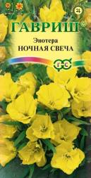 Энотера Ночная свеча миссурийская (Гавриш)