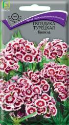 Гвоздика турецкая Княжна (Поиск)
