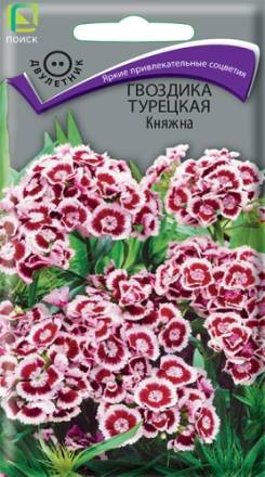 Гвоздика турецкая Княжна (Поиск)