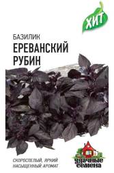 Базилик Ереванский рубин (Гавриш) ХИТ х3