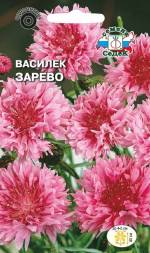 Василек Зарево (СеДеК)
