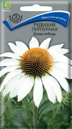 Рудбекия Белая Лебедь пурпурная (Поиск)