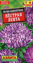 Астра Пестрая лента (Аэлита)