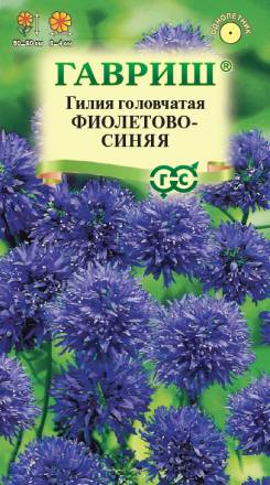 Гилия Фиолетово-синяя головчатая (Гавриш)