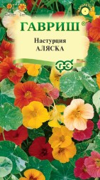 Настурция Аляска низкорослая смесь (Гавриш)