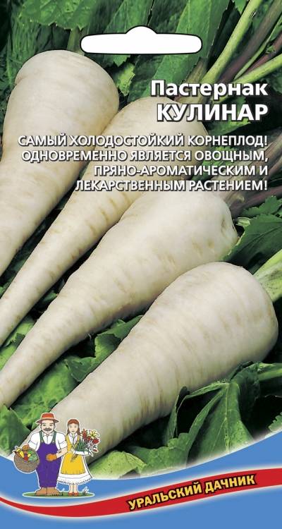 Купить Семена Пастернака В Интернет Магазине