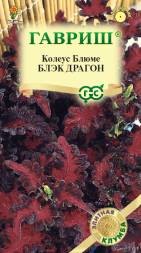 Колеус Блэк Драгон (Гавриш)