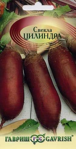Свекла Цилиндра (Гавриш) Свекла Цилиндра (Гавриш)