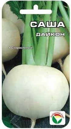 Дайкон Саша (Сиб Сад) Дайкон Саша (Сиб Сад)