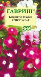 Катарантус Аристократ (Гавриш)