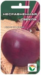 Свекла Несравненная (Сиб Сад)