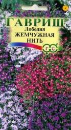 Лобелия Жемчужная нить (Гавриш)