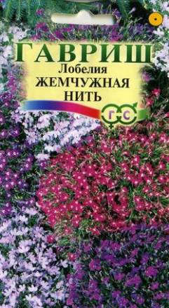 Лобелия Жемчужная нить (Гавриш)