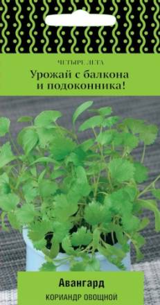 Кориандр Авангард (Поиск)
