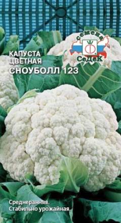 Капуста цветная Сноубол 123 (СеДеК)