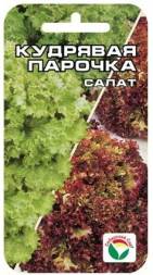 Салат Кудрявая парочка (Сиб сад)
