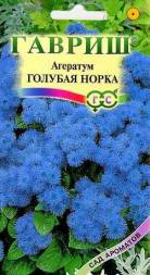 Агератум Голубая норка (Гавриш)