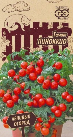 Томат Пиноккио (Гавриш) Томат Пиноккио (Гавриш)